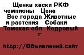 Щенки хаски РКФ чемпионы › Цена ­ 90 000 - Все города Животные и растения » Собаки   . Томская обл.,Кедровый г.